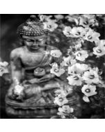 buddha con i fiori