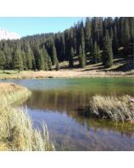 paesaggio di montagna autunnale con laghetto dalle acque trasparenti