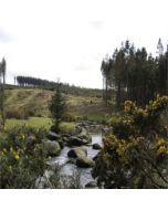 paesaggio collinare con alberi cespugli fioriti e un fiume che scorre