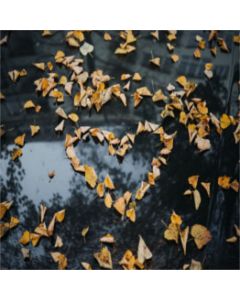 foglie d'autunno