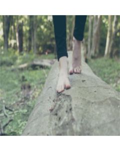 piedi in equilibrio su un tronco