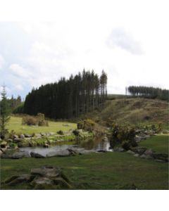 Colline verdi con alberi e fiume che scorre