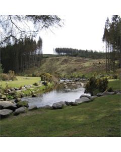 Colline verdi con alberi cespugli e ruscello
