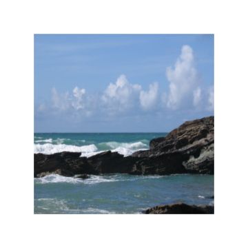 onde oceano