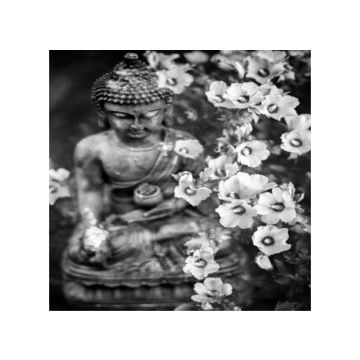 buddha con i fiori