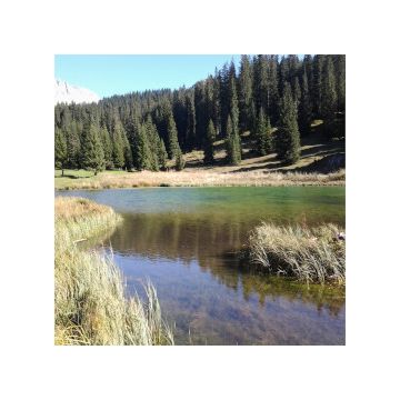 paesaggio di montagna autunnale con laghetto dalle acque trasparenti