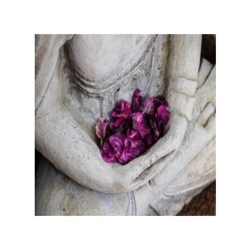 mani con fiori