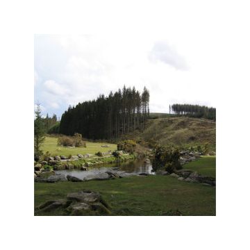 Colline verdi con alberi e fiume che scorre