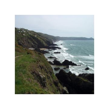 Scogliere con onde dell'oceano
