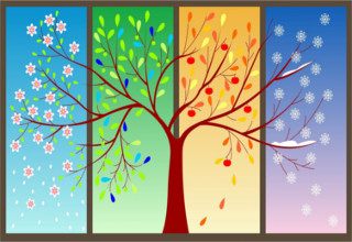 Un albero